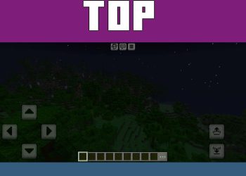 Top View from Night Vision Texture Pack for Minecraft PE