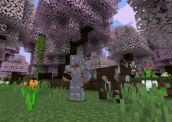 Armor from Biomes Mod for Minecraft PE