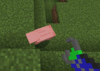 Gravity Gun from Gravity Mod for Minecraft PE