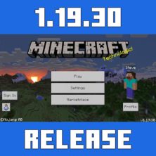 Minecraft PE 1.19.30