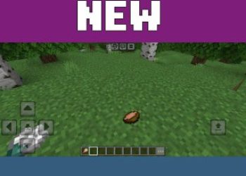 Abilities from Physics Mod for Minecraft PE