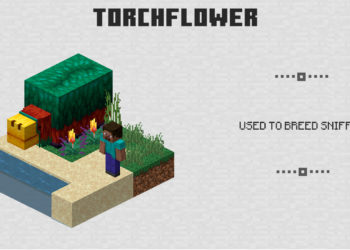 Tourchflower from Minecraft PE 1.20