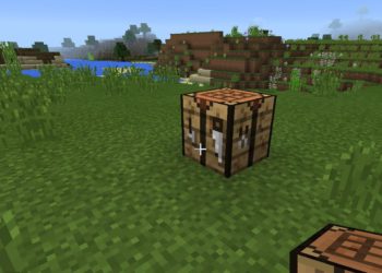 Items from Minecraft Windows 10