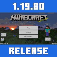 Minecraft PE 1.19.80