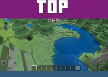 Top View from 1 x 1 Texture Pack for Minecraft PE