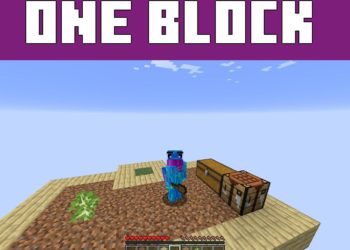 One Block Survival from Maps for Minecraft Java 1.21