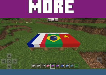 More Variants from Brazil Texture Pack for Minecraft PE