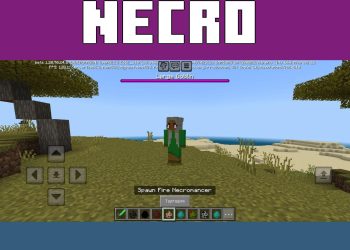 Necromancer from Dungeon Craft Mod for Minecraft PE