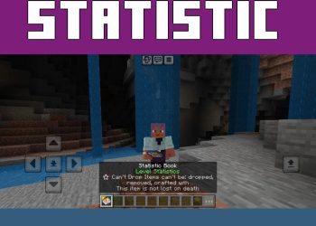 Book from Level Statistics Mod for Minecraft PE