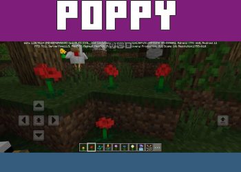 Poppy Flower from Flowers Texture Pack for Minecraft PE