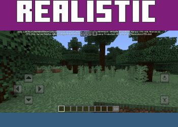 Realistic from Grass Texture Pack for Minecraft PE