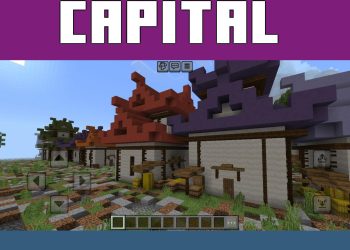 Street from Wanos Flower Capital Map for Minecraft PE