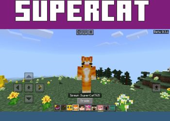 SuperCat 765 from Youtuber Mod for Minecraft PE