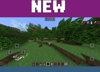 Abilities from Chainsaw Man Mod for Minecraft PE