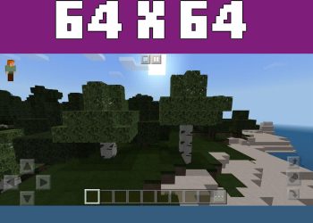 64 x 64 from Flows HD Texture Pack for Minecraft PE