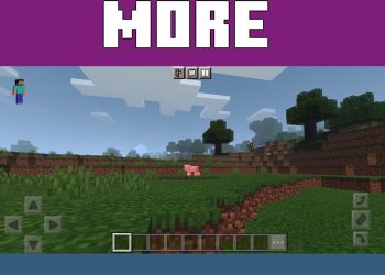 Colours from Vanilla 2 Shader for Minecraft PE