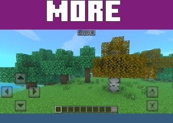 Esthetic from Iris Shader for Minecraft PE