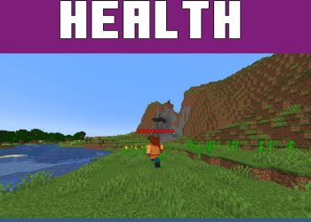 Indicators from Mods for Minecraft Java 1.22