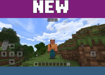 Look from Haptic Shader for Minecraft PE