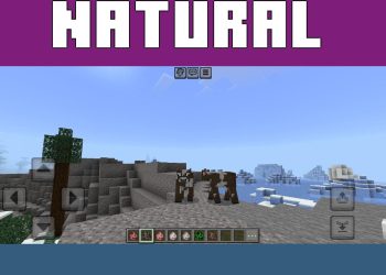 Natural from Dynamic Animations Texture Pack for Minecraft PE