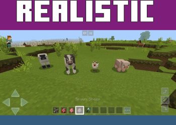 Realistic from Mizunos 16 Texture Pack for Minecraft PE