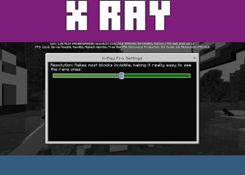 Settings from X-Ray Pro Texture Pack for Minecraft PE