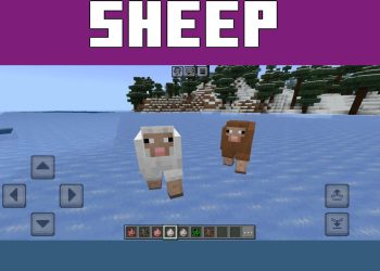 Sheep from Dynamic Animations Texture Pack for Minecraft PE