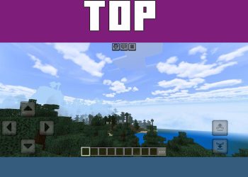 Top View from BNS Shader for Minecraft PE