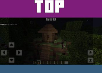 Top View from Forest Horror Map for Minecraft PE