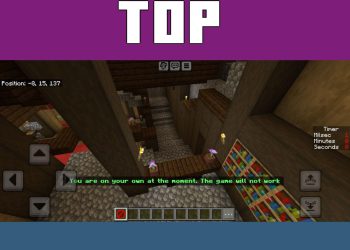 Top View from Hide-and-Seek Map for Minecraft PE