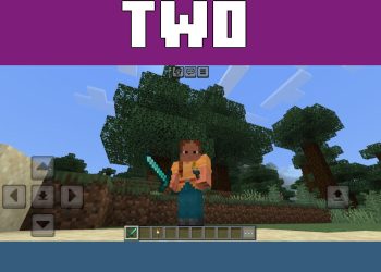 Two Hands from Torch Mod for Minecraft PE