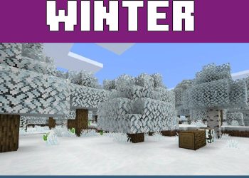 Winter Pack from Textures for Minecraft Java 1.22