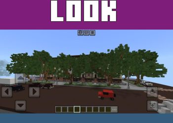 Around from New York Map for Minecraft PE