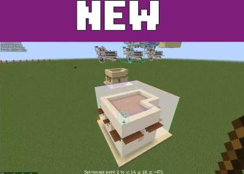 Option from Litematica Mod for Minecraft PE