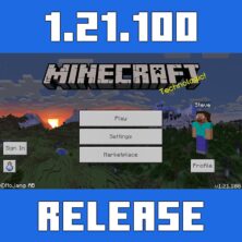 Minecraft PE 1.21.100